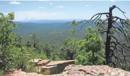  ??  ?? Views go on for miles from the Rim Vista Trail atop the Mogollon Rim east of Payson.