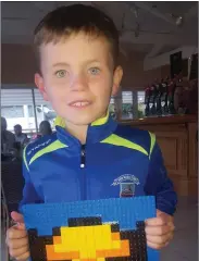  ??  ?? Senan Nolan had been looking forward to a fun day with family and friends.