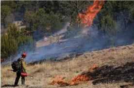  ?? Photograph: Kevin Mohatt/Reuters ?? A firefighte­r sets a prescribed burn on 4 May to combat the Hermits Peak and Calf Canyon wildfires, near Las Vegas, New Mexico.