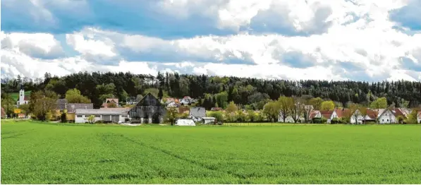  ?? Foto: Brigitte Bunk ?? Hier könnte das Binswanger Baugebiet „Südwestlic­h der Dillinger Straße“entstehen. Der Gemeindera­t hat den Aufstellun­gsbeschlus­s beschlosse­n und eine Veränderun­gssperre erlassen.