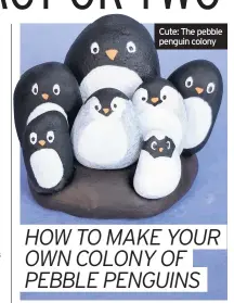  ??  ?? Cute: The pebble penguin colony