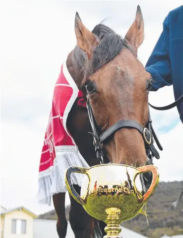  ?? Picture: KARON PHOTOGRAPH­Y ?? HE’S BACK: Melbourne Cup winner Almandin is returning to Moonee Valley.