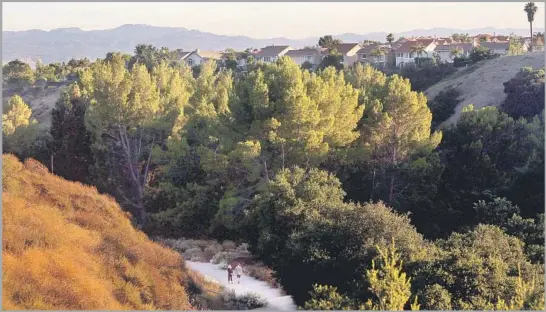  ?? Photograph­s by Dania Maxwell Los Angeles Times ?? A RAMBLE through Limekiln Canyon Park follows a corridor that is shaded, lush and likely to have running water. All in all, it’s a surprise in urban Northridge.