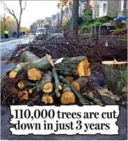  ??  ?? 110,000 trees are cut down in just 3 years