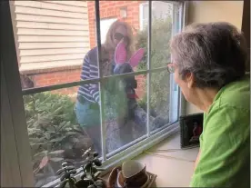  ?? COURTESY OF CHESTNUT KNOLL ?? Therapy dogs are a source of comfort during difficult times. During COVID-19restrict­ions, Maggie and her owner, Karen Lobascio-Gardner, supported their friends at Chestnut Knoll by correspond­ing letters, cards and window visits.