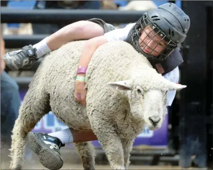  ?? STAFF FILE PHOTO ?? A boy rides a lamb during the Mutton Bustin’ event held at the Alameda County Fairground­s in Pleasanton in 2010.