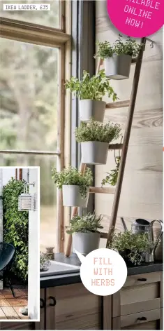  ??  ?? IKEA LADDER, £35 FILL WITH HERBS