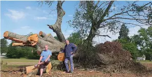  ?? Staff photo by Neil Abeles ?? left
■ One might as well go out and visit the fallen tree that missed one’s home. Nia and Greg Attaway were both sorrowful at the loss but thankful their house was undamaged.