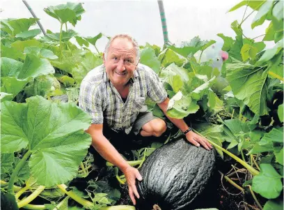  ?? RICHARD WILLIAMS ?? Champion giant veg grower Phillip Vowles, of Llanharry, is entering his produce into the Vale of Glamorgan Show. Phillip is pictured with a marrow, which he expects to weigh in at about 120 pounds