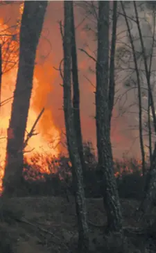  ?? REUTERS ?? U nedavnom požaru u Portugalu koji je zahvatio šume i nekoliko sela poginulo je više od 60 ljudi, a mnogo ih je ozlijeđeno. Vatrogasci su se danima borili s vatrenom stihijom