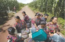  ??  ?? Comadronas rurales tras comprar en el mercado de Patzún, en Guatemala. Estas mujeres son encargadas de asistir a embarazada­s durante el parto.