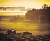  ?? JEFF MCINTOSH / THE CANADIAN PRESS FILES ?? Accountant­s who specialize in farming are sounding alarm bells over the federal government’s proposed tax reform on private corporatio­ns.