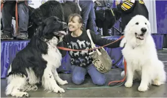  ?? COURTESY PHOTO ?? Donna with longtime companions and therapy dogs Chance, a Newfoundla­nd, and Charlie Bear, a Great Pyrenees.