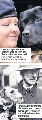  ??  ?? Lance Corporal Karen Yardley with search dog Sadie, who was awarded the Dickin Medal for heroism in Afghanista­n PDSA Superinten­dent Bill Barnet and his wire haired terrier Beauty, who helped save lives in the Blitz