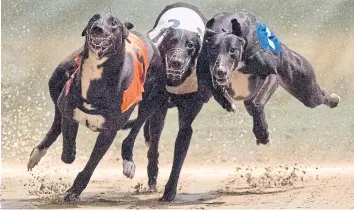  ??  ?? FLYING START: Greyhounds compete on the track during an evening of racing at Wimbledon Stadium in south London. Yesterday marked the final day of racing at the Wimbledon dog track.