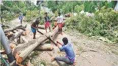  ?? PTI ?? Workers chop an uprooted tree to clear a street, in the aftermath of Cyclone Amphan, in Kolkata, West Bengal.