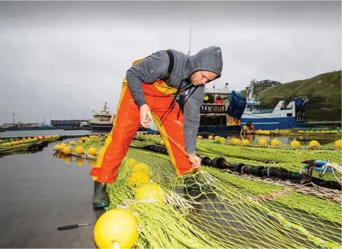  ?? FOTO: JARLE R. MARTINSEN ?? Ronnie Faret går langs noten for å reparere alle hullene som har oppstått etter siste fiskerunde langs vestlandsk­ysten.