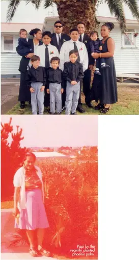  ??  ?? Below, the grandchild­ren. Back row from left: Caitlin, Nola, Vave, Pesa, Adeleina and Trisha. Middle: Hira and Joseph. Front row: Rory, Ben and Daniel. Papi by the recently planted phoenix palm.