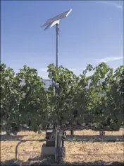  ?? (Photo Fruition Sciences) ?? Ces capteurs intelligen­ts mesurent les besoins en eau de la vigne. Utilisés en Californie, ils équipent déjà des vignobles du Var.