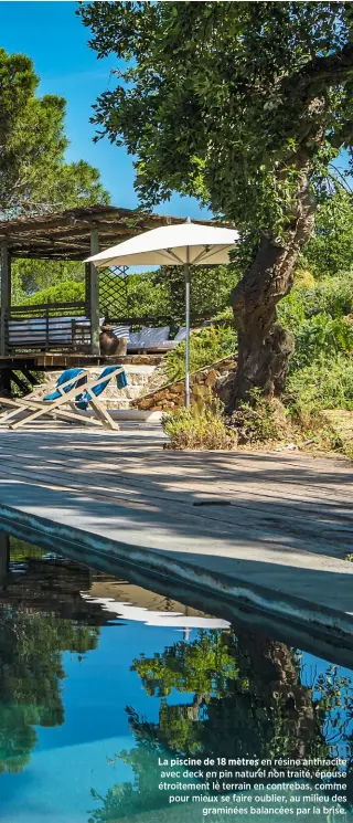  ??  ?? La piscine de 18 mètres en résine anthracite avec deck en pin naturel non traité, épouse étroitemen­t le terrain en contrebas, comme pour mieux se faire oublier, au milieu des
graminées balancées par la brise.