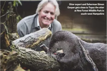  ??  ?? Otter expert and fisherman Simon Cooper gets close to Topaz the otter at New Forest Wildlife Park in south-west Hampshire