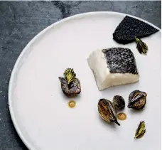  ??  ?? From left: At the Museums of Spirits, you can participat­e in a four-spirit tasting of Scandinavi­a’s iconic aquavit; slow-baked hake with burned onion purÇe and onions pickled with spruce at the museum’s restaurant.