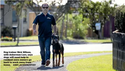  ??  ?? Dog trainer Nick Wilson, with doberman Lars, says dogs will need help to readjust once owners go back to work away from home.