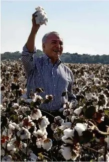  ?? Mayke Toscano/Gcom-MT ?? O presidente Michel Temer em meio a algodão em MT