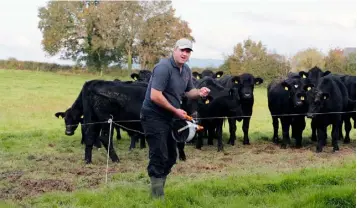  ??  ?? Emmett O’Brien with his herd at Ringmoylan, Pallaskenr­y