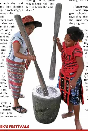 IFUGAO RICE RITUALS IN SAFE (YOUNG) HANDS - PressReader