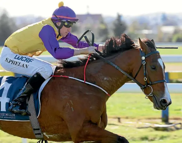  ??  ?? All too easy for Shaun Phelan and Monarch Chimes in the hurdle at Rotorua.