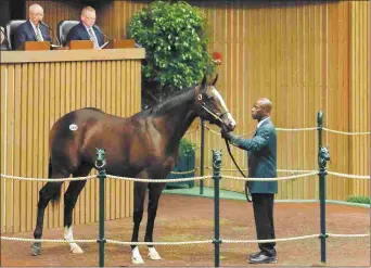  ?? KEENELAND PHOTO ?? A War Front colt sells for $1.1 million at the 2017 Keeneland September yearling sale. In all, 2016 November pinhooks nearly doubled in average at the September sale.