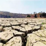  ?? ?? Falta de agua alarma a productore­s