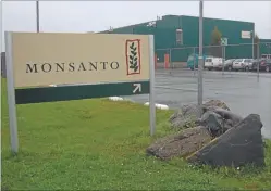  ??  ?? DROGAS. Monsanto prevé demoras en la aprobación de patentes en Estados Unidos pero confía en que sus negocios en la Argentina y Brasil seguirán creciendo. El laboratori­o Pfizer, con foco en cambios en el Obamacare.