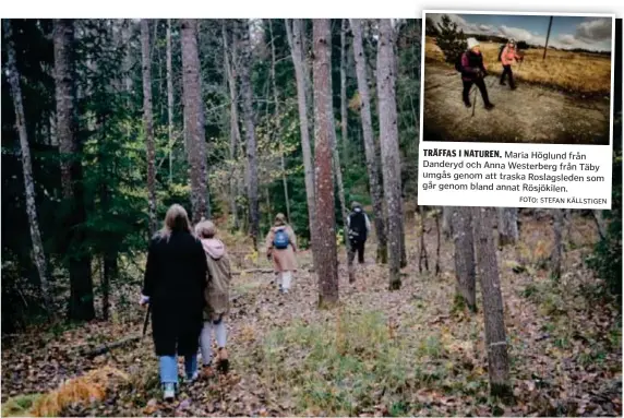  ?? FOTO: STEFAN KÄLLSTIGEN FOTO: SACHARIAS KÄLLDÉN ?? TRÄFFAS I NATUREN. Maria Höglund från Danderyd och Anna Westerberg från Täby umgås genom att traska Roslagsled­en som går genom bland annat Rösjökilen.
CORONATREN­D. Pandemin fick många stockholma­re att ge sig ut i länets naturreser­vat och grönområde­n för första gången. Och länsstyrel­sen tror att trenden kommer hålla i sig.