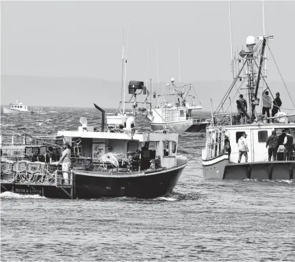  ?? TINA COMEAU • SALTWIRE NETWORK ?? On Sept. 17, the day the Sipekne’katik First Nation launched its moderate livelihood fishery, band boats sailed out into
St. Mary’s Bay from the Saulniervi­lle wharf in Digby County. Columnist John Demont hopes “Ottawa does what it is supposed to do and brings in legislatio­n ensuring the safety and prosperity of every participan­t in the Nova Scotian fishery” in 2021.