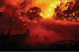  ?? KENT NISHIMURA/LOS ANGELES TIMES ?? Deer run alongside an engulfed Skyhawk Park as firefighte­rs battle the Shady Fire on Monday in Santa Rosa.