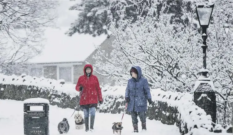  ??  ?? 0 People walk dogs in Knaresboro­ugh in North Yorkshire after snow fell overnight. Parts of northern England have seen heavy snow, with the Met Office warning rural communitie­s are at risk of being cut off