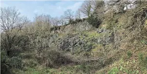  ?? | PHOTO : OUEST-FRANCE ?? La carrière de Milin ar stang, vestige rare d'une coulée basaltique.