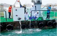  ?? Supplied photo ?? Dr Thani bin Ahmed Al Zeyoudi and other officials release fish to protected marine areas in Dibba, Fujairah. —