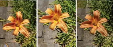  ??  ?? While all three phones captured the orange hues of this flower, the U12+ (left) was most accurate, while the Galaxy S9 (center) was a touch oversatura­ted and the Pixel 2XL a bit too dark.