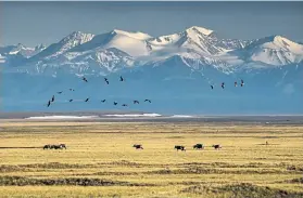  ?? Chrstopher Miller, © The New York Times Co. ?? The Trump administra­tion announced Monday it would begin selling oil leases for the Arctic National Wildlife Refuge in Alaska, seen here with the Brooks Range in the background.