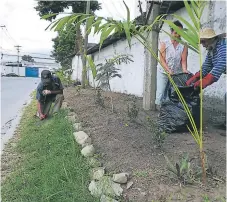  ??  ?? TRABAJOS. Los vecinos se unieron para plantar y limpiar.