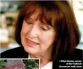  ?? S4C ?? > Dilys Davies, owner of the ‘Cofiwch Dryweryn’ wall, inset