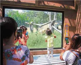  ?? ESNEYDER GUTIÉRREZ ?? Los niños y los jóvenes son los que más se divierten en este parque, ahora renovado.