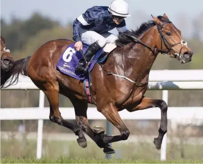  ??  ?? TRAINING FEAT. Rekindling could give newcomer to the training ranks Joseph O’Brien his first Group 2 Dante Stakes winner at York today.