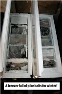  ??  ?? A freezer full of pike baits for winter!