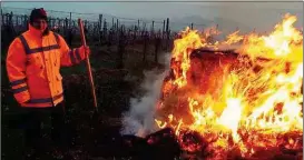  ??  ?? Die ganze Nacht loderten in heimischen Weingärten die Flammen. Andere Winzer vertrieben den Frost mit Kerzen.