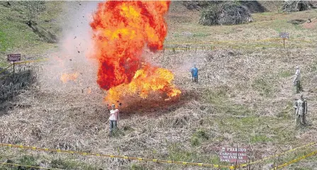  ?? JAIVER NIETO/ADN ?? Desminar implica gran costo económico y el riesgo inmenso de que quienes realizan esta labor también sean víctimas de explosione­s.