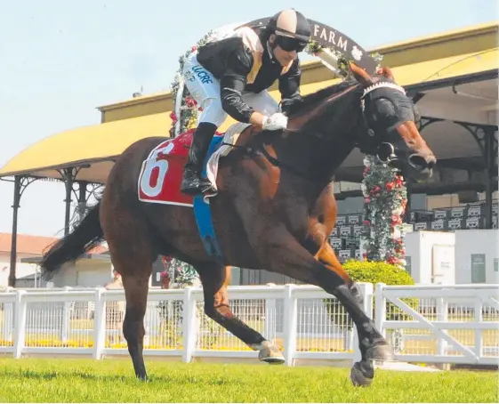  ?? Picture: TRACKSIDE PHOTOGRAPH­Y ?? Tumbler has been backed from $10 to $4.80 to win the Victory Stakes at Eagle Farm today.